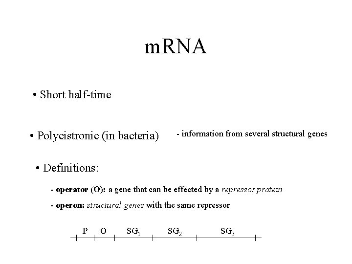 m. RNA • Short half-time • Polycistronic (in bacteria) - information from several structural