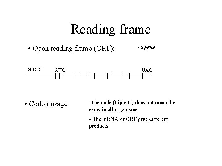 Reading frame • Open reading frame (ORF): S D-G AUG • Codon usage: -