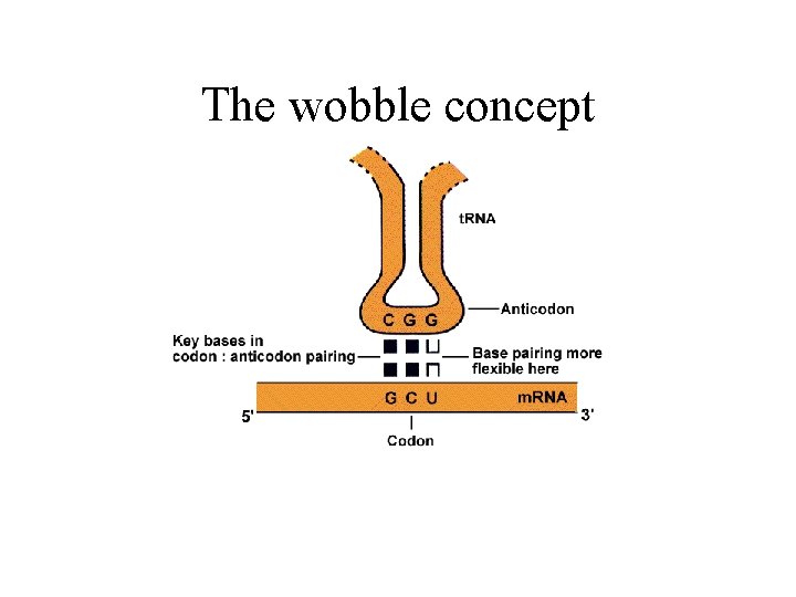 The wobble concept 