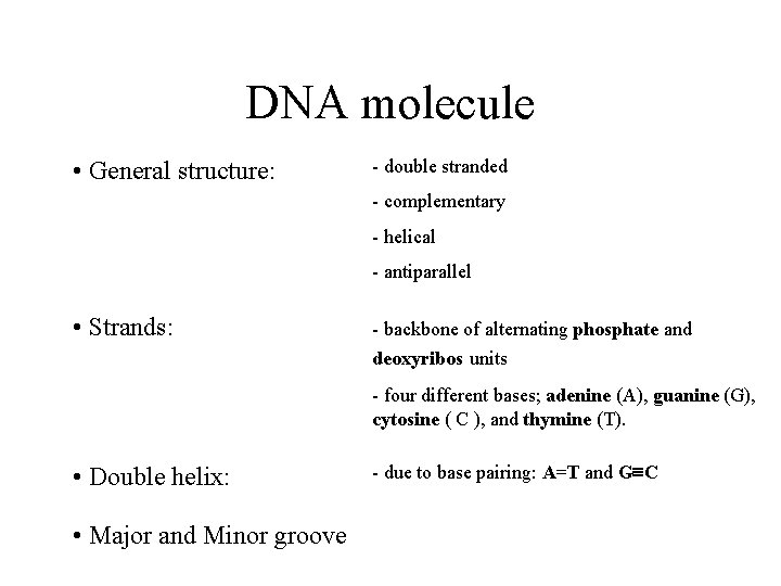 DNA molecule • General structure: - double stranded - complementary - helical - antiparallel