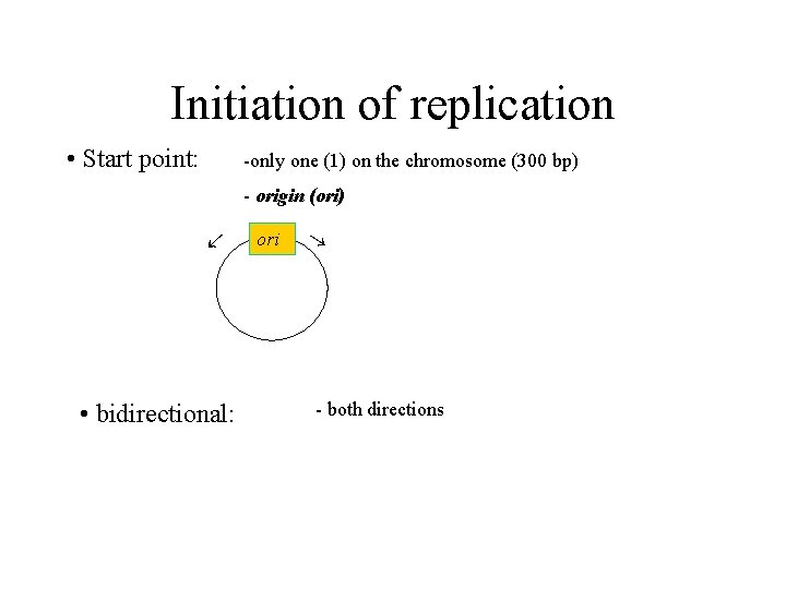 Initiation of replication • Start point: -only one (1) on the chromosome (300 bp)