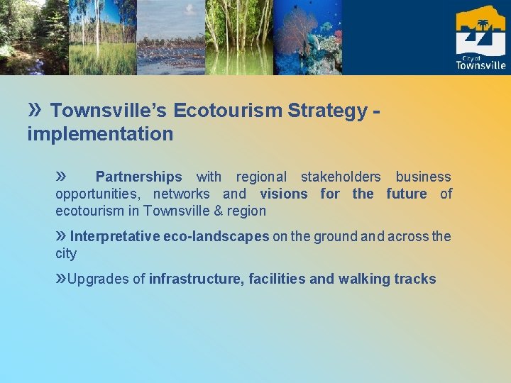 » Townsville’s Ecotourism Strategy implementation » Partnerships with regional stakeholders business opportunities, networks and