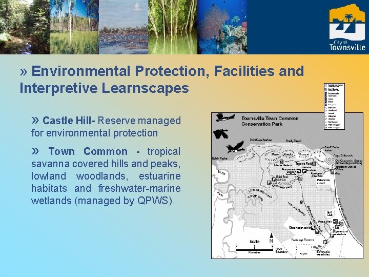 » Environmental Protection, Facilities and Interpretive Learnscapes » Castle Hill- Reserve managed for environmental