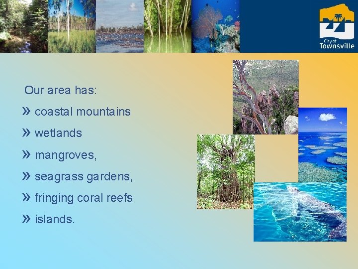 Our area has: » coastal mountains » wetlands » mangroves, » seagrass gardens, »