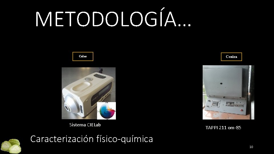 METODOLOGÍA… Color Sistema CIELab Ceniza TAPPI 211 om-85 Caracterización físico-química 10 