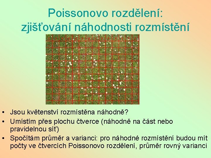Poissonovo rozdělení: zjišťování náhodnosti rozmístění • Jsou květenství rozmístěna náhodně? • Umístím přes plochu