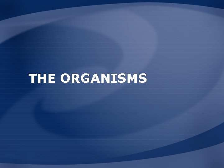 THE ORGANISMS 