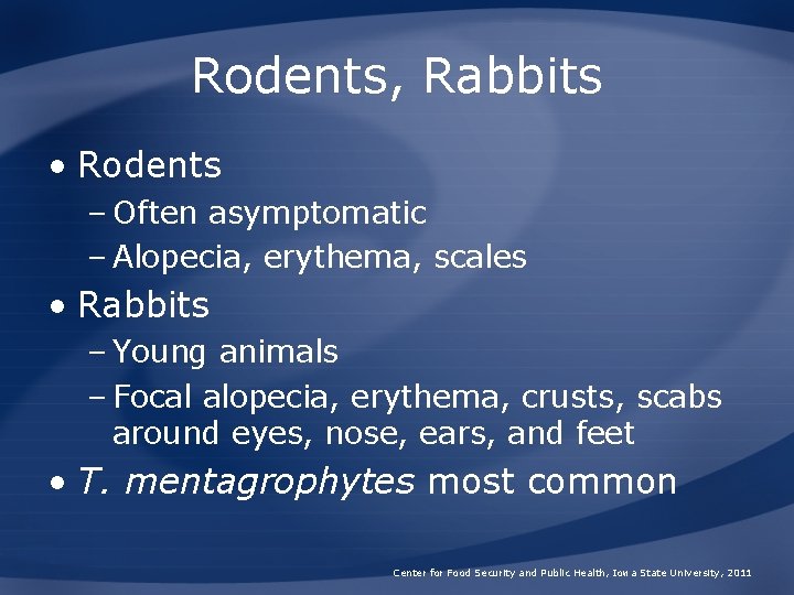 Rodents, Rabbits • Rodents – Often asymptomatic – Alopecia, erythema, scales • Rabbits –