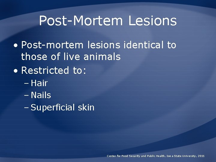 Post-Mortem Lesions • Post-mortem lesions identical to those of live animals • Restricted to: