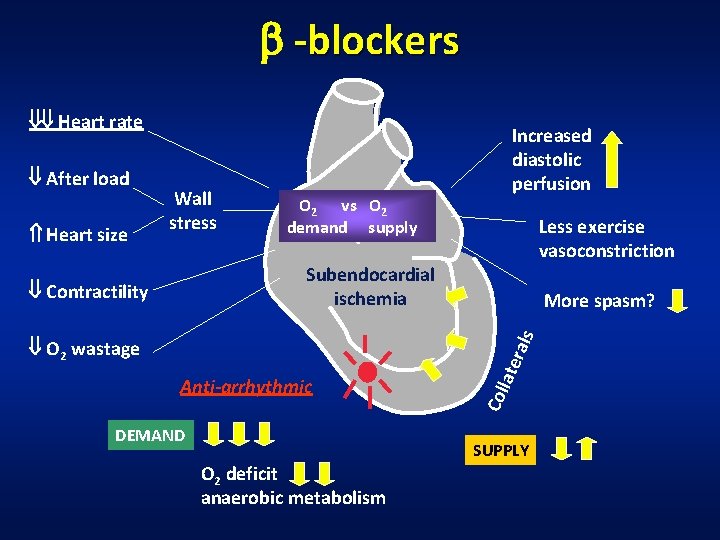  -blockers Heart rate O 2 vs O 2 demand supply Less exercise vasoconstriction