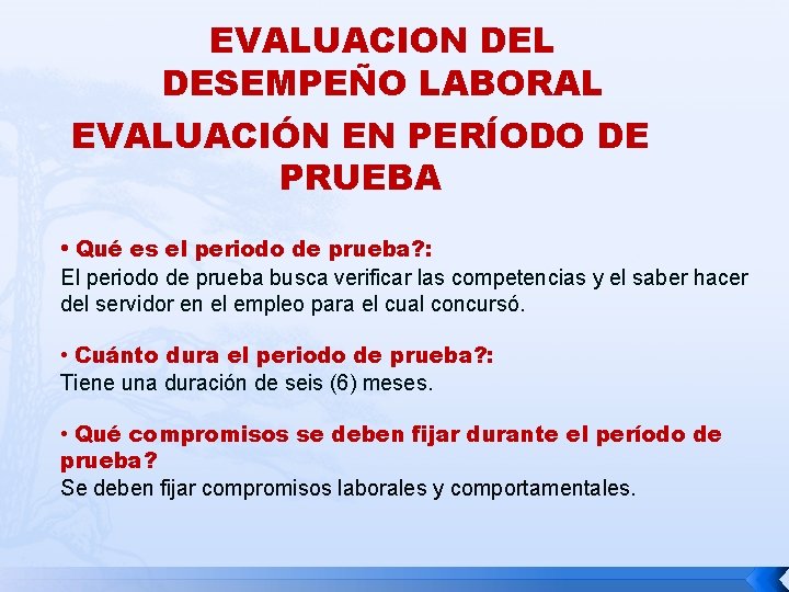 EVALUACION DEL DESEMPEÑO LABORAL EVALUACIÓN EN PERÍODO DE PRUEBA • Qué es el periodo