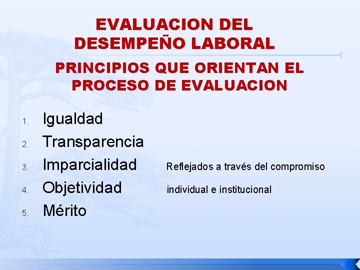 EVALUACION DEL DESEMPEÑO LABORAL PRINCIPIOS QUE ORIENTAN EL PROCESO DE EVALUACION 1. 2. 3.