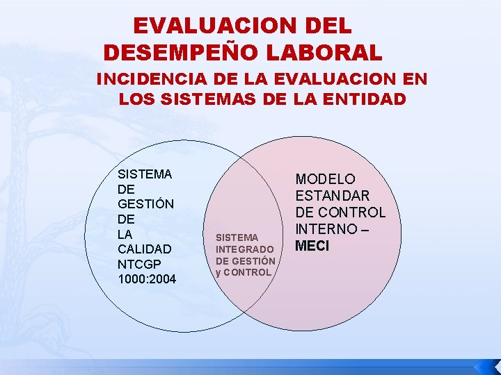 EVALUACION DEL DESEMPEÑO LABORAL INCIDENCIA DE LA EVALUACION EN LOS SISTEMAS DE LA ENTIDAD