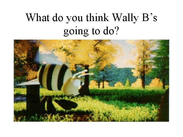 What do you think Wally B’s going to do? What do you think Wally B’s going to do?
