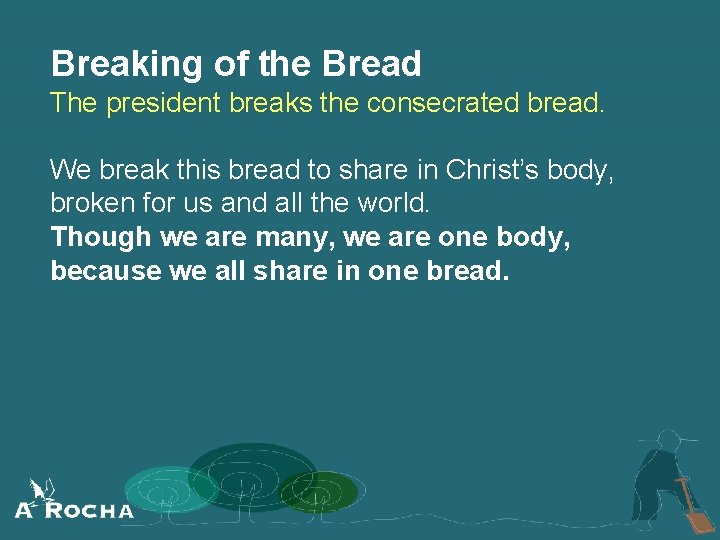Breaking of the Bread The president breaks the consecrated bread. We break this bread