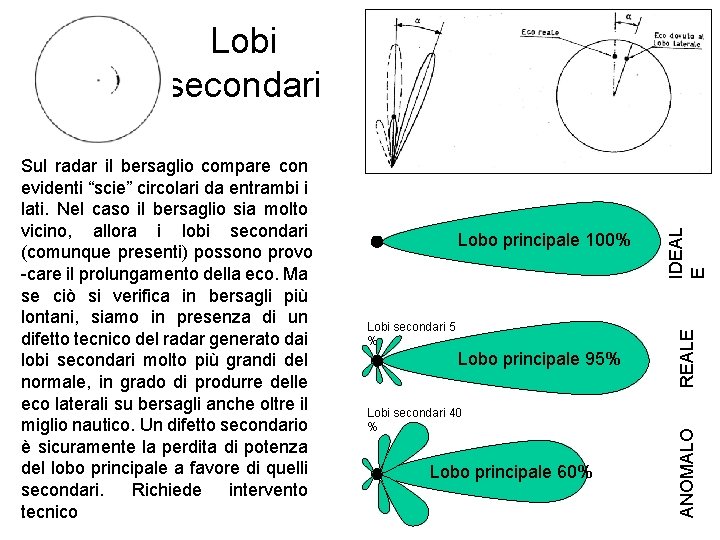 Lobi secondari 5 % Lobo principale 95% Lobi secondari 40 % Lobo principale 60%