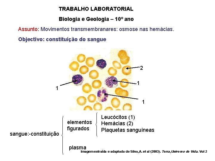 TRABALHO LABORATORIAL Biologia e Geologia – 10º ano Assunto: Movimentos transmembranares: osmose nas hemácias.