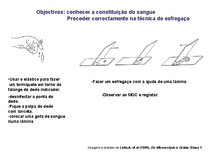 Objectivos: conhecer a constituição do sangue Proceder correctamente na técnica de esfregaço -Usar o