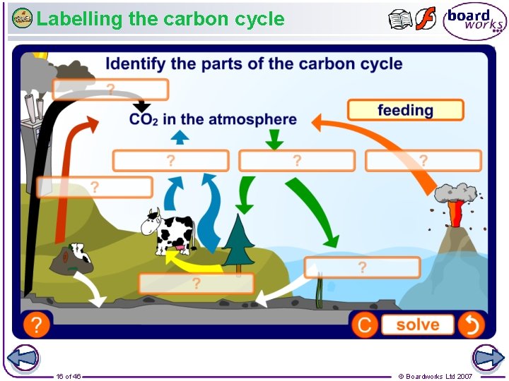 Labelling the carbon cycle 16 of 46 © Boardworks Ltd 2007 