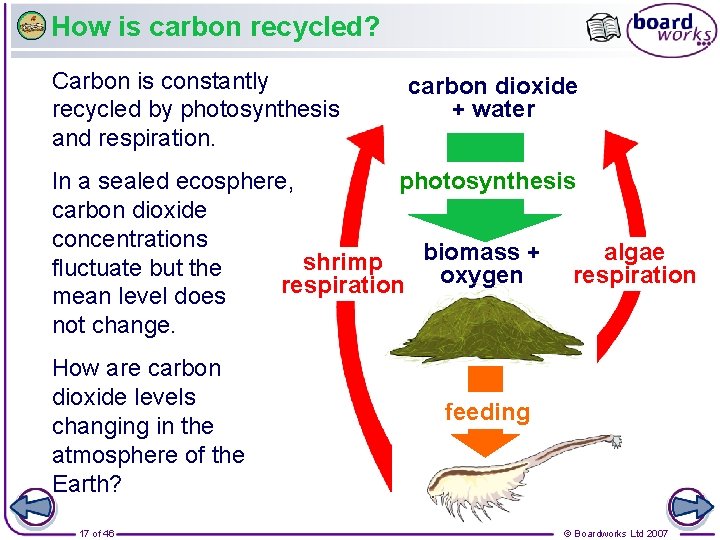 How is carbon recycled? Carbon is constantly recycled by photosynthesis and respiration. carbon dioxide