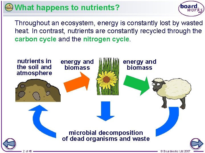 What happens to nutrients? Throughout an ecosystem, energy is constantly lost by wasted heat.