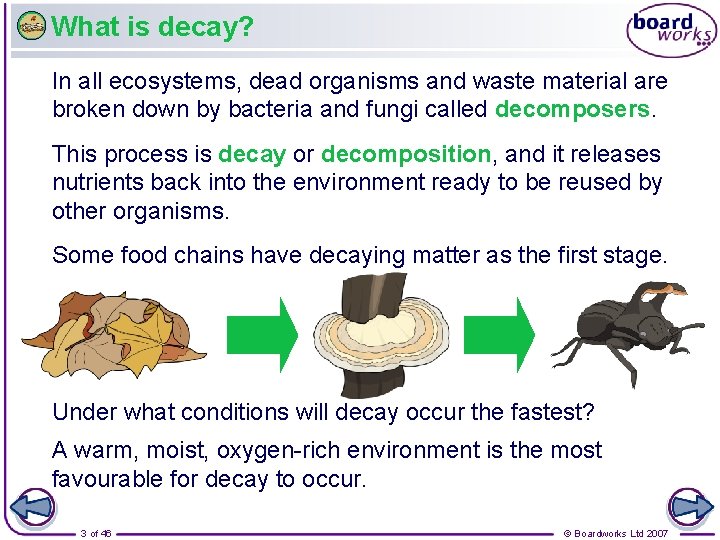 What is decay? In all ecosystems, dead organisms and waste material are broken down