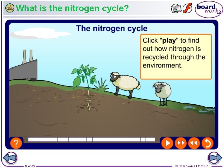 What is the nitrogen cycle? 6 of 46 © Boardworks Ltd 2007 