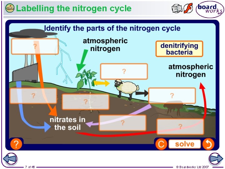 Labelling the nitrogen cycle 7 of 46 © Boardworks Ltd 2007 