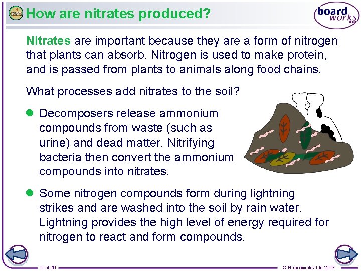 How are nitrates produced? Nitrates are important because they are a form of nitrogen