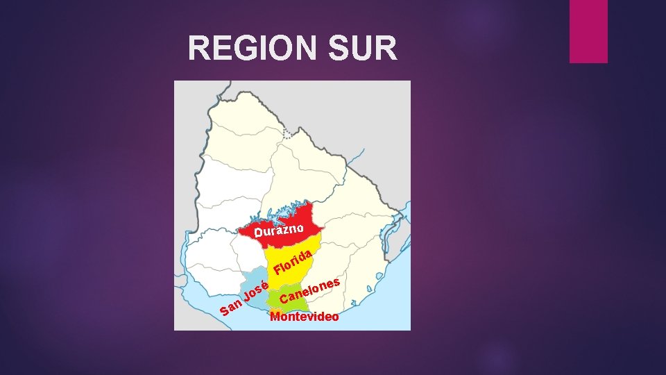 REGION SUR Durazno a id lor F é os S J n a nes