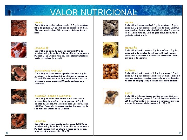 VALOR NUTRICIONAL VIEIRA OSTRA Cada 100 g de miolo de vieira contém 13. 3