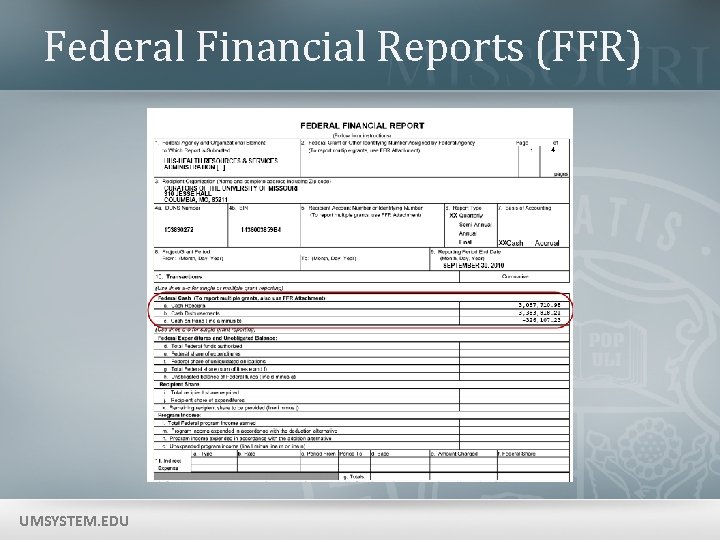 Federal Financial Reports (FFR) UMSYSTEM. EDU 