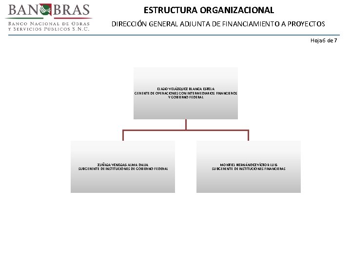 ESTRUCTURA ORGANIZACIONAL DIRECCIÓN GENERAL ADJUNTA DE FINANCIAMIENTO A PROYECTOS Hoja 6 de 7 ELIGIO