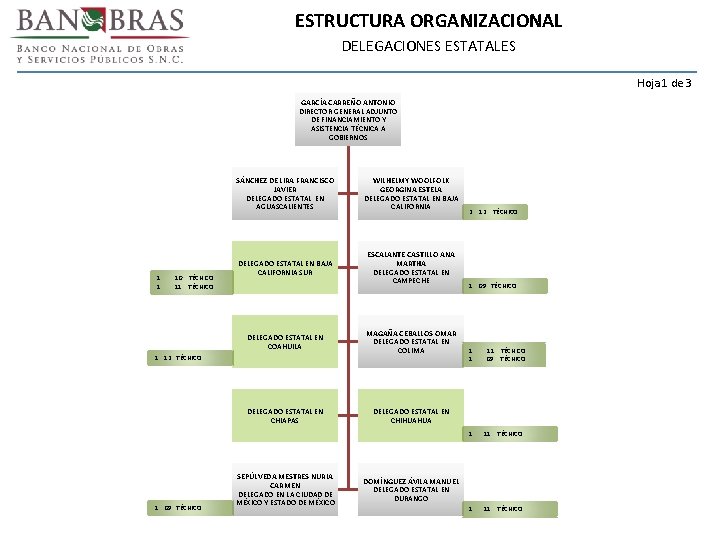 ESTRUCTURA ORGANIZACIONAL DELEGACIONES ESTATALES Hoja 1 de 3 GARCÍA CARREÑO ANTONIO DIRECTOR GENERAL ADJUNTO