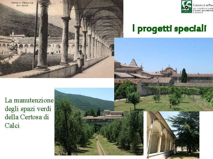 I progetti speciali La manutenzione degli spazi verdi della Certosa di Calci 