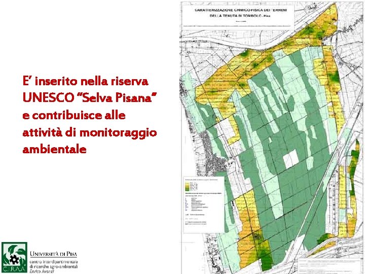 E’ inserito nella riserva UNESCO “Selva Pisana” e contribuisce alle attività di monitoraggio ambientale