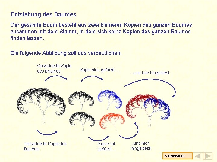 Entstehung des Baumes Der gesamte Baum besteht aus zwei kleineren Kopien des ganzen Baumes