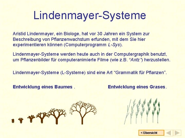 Lindenmayer-Systeme Aristid Lindenmayer, ein Biologe, hat vor 30 Jahren ein System zur Beschreibung von