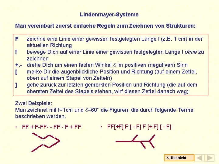 Lindenmayer-Systeme Man vereinbart zuerst einfache Regeln zum Zeichnen von Strukturen: F zeichne eine Linie