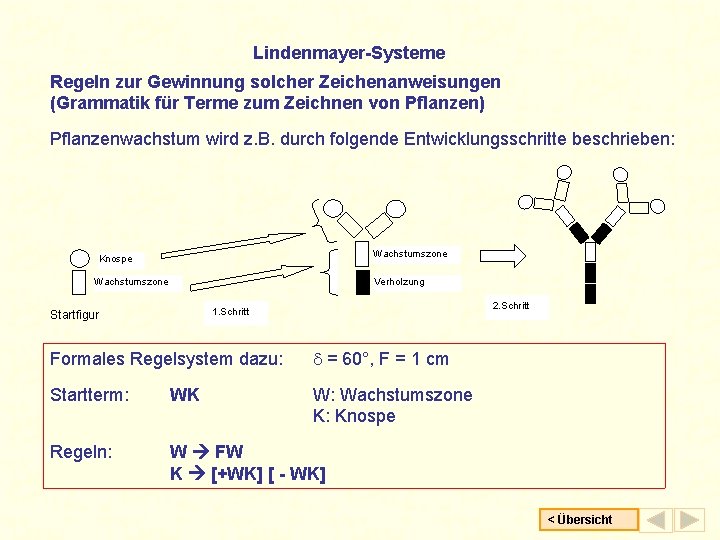 Lindenmayer-Systeme Regeln zur Gewinnung solcher Zeichenanweisungen (Grammatik für Terme zum Zeichnen von Pflanzen) Pflanzenwachstum
