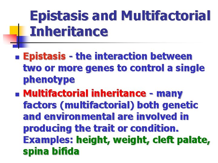 Epistasis and Multifactorial Inheritance n n Epistasis - the interaction between two or more