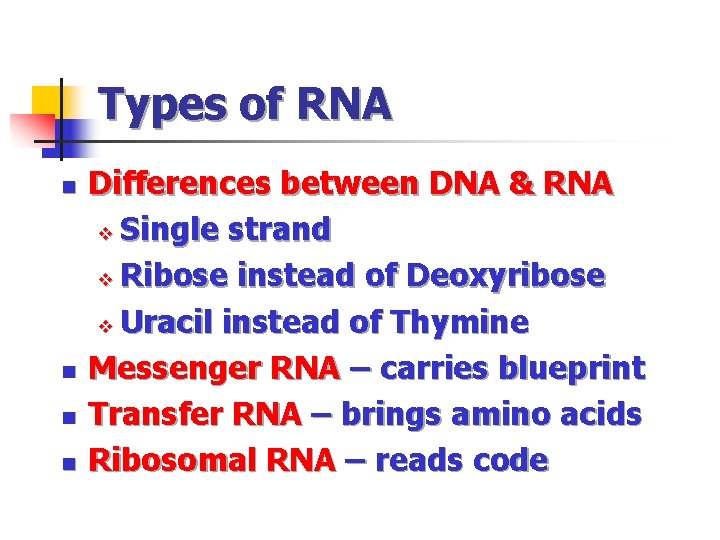 Types of RNA n n Differences between DNA & RNA v Single strand v