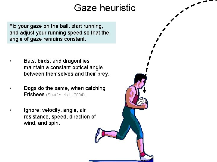 Gaze heuristic Fix your gaze on the ball, start running, and adjust your running