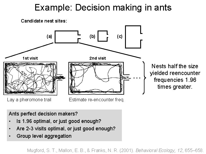 Example: Decision making in ants Candidate nest sites: (a) 1 st visit (b) (c)