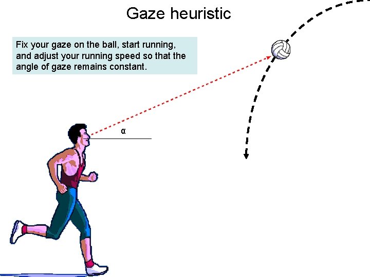 Gaze heuristic Fix your gaze on the ball, start running, and adjust your running