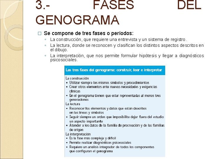 3. FASES GENOGRAMA � DEL Se compone de tres fases o períodos: ◦ La