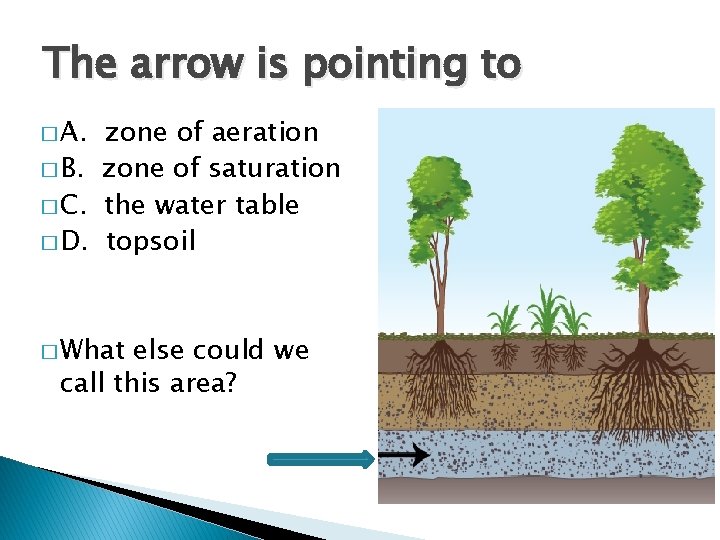 The arrow is pointing to � A. zone of aeration � B. zone of