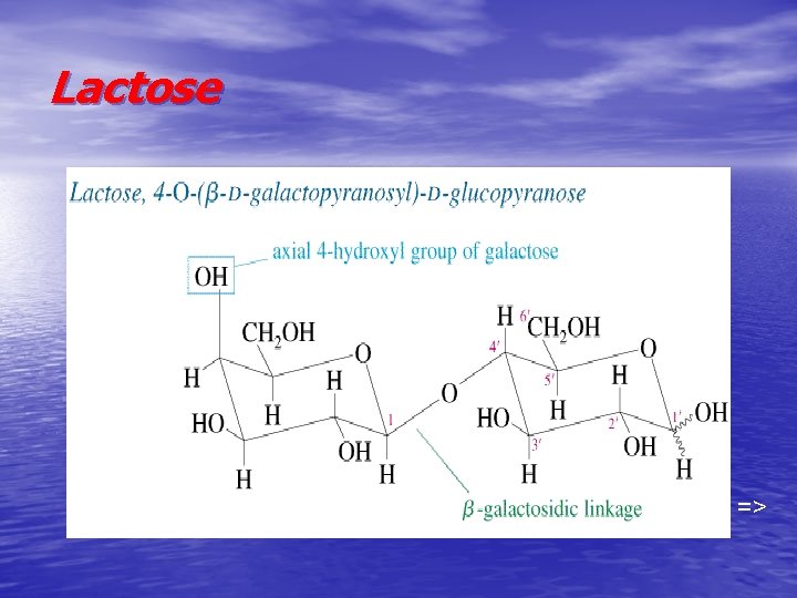 Lactose => 
