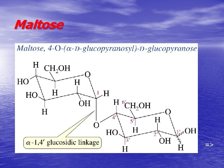 Maltose => 