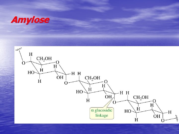 Amylose => 